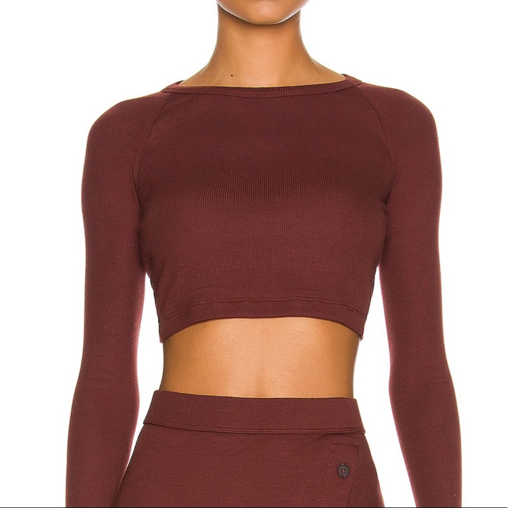 ALIX NYC Coles Crop Top Size S in Clove (Part of a Set)